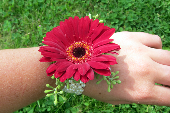 Gerbera floral wrist corsage
