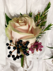 Rose, Waxflower and Viburnum buttonhole. Floral design by Cotswold Blooms, wedding florist based in Cheltenham.