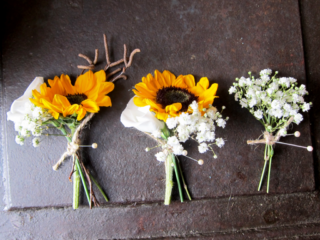 Mini Sunflower and Gypsophila. Floral design by Cotswold Blooms, wedding florist based in Cheltenham.