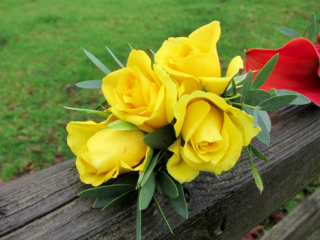 Yellow Spray Rose corsage. Floral design by Cotswold Blooms, wedding florist based in Cheltenham.