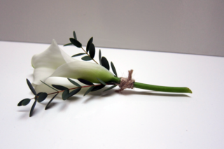 Calla Lily buttonhole with a touch of foliage. Floral design by Cotswold Blooms, wedding florist based in Cheltenham.
