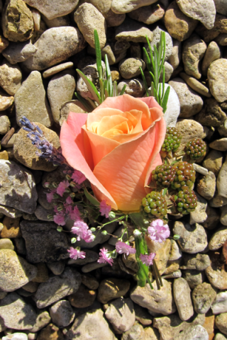 Miss Piggy rose with rosemary, berries and lavender. Floral design by Cotswold Blooms, wedding florist based in Cheltenham.