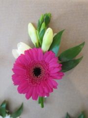 Gerbera and Freesia buttonhole. Floral design by Cotswold Blooms, wedding florist based in Cheltenham.