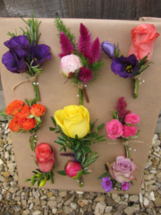 A selection of bright and vibrant buttonholes. A different design and colour for each for a wedding at Barnsley House. Floral design by Cotswold Blooms, wedding florist based in Cheltenham.