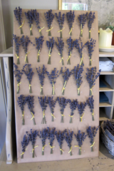 Dried lavender buttonholes for every guest. Floral design by Cotswold Blooms, wedding florist based in Cheltenham.