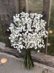 White Gypsophila bouquet with Lavender. Floral design by Cotswold Blooms, wedding florist based in Cheltenham.