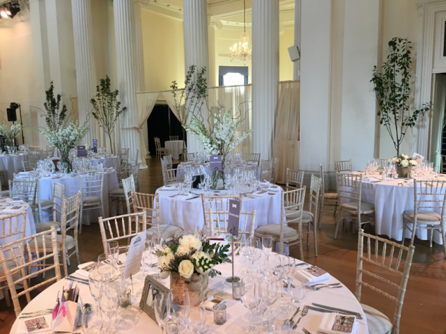 Birch bowls filled with Roses and Peonies with living trees at Pittville Pump Rooms, Cheltenham.  Floral design by Cotswold Blooms, wedding florist based in Cheltenham.