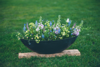 Country garden dish display, with Stocks and Muscari. Floral design by Cotswold Blooms, wedding florist based in Cheltenham.