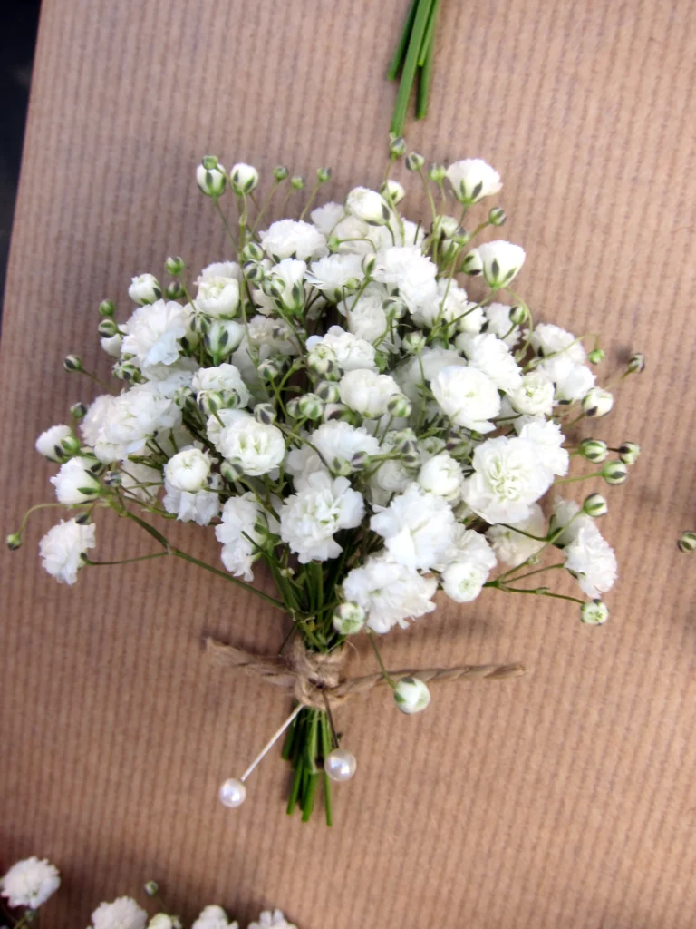 Gypsophila buttonhole tied with twine