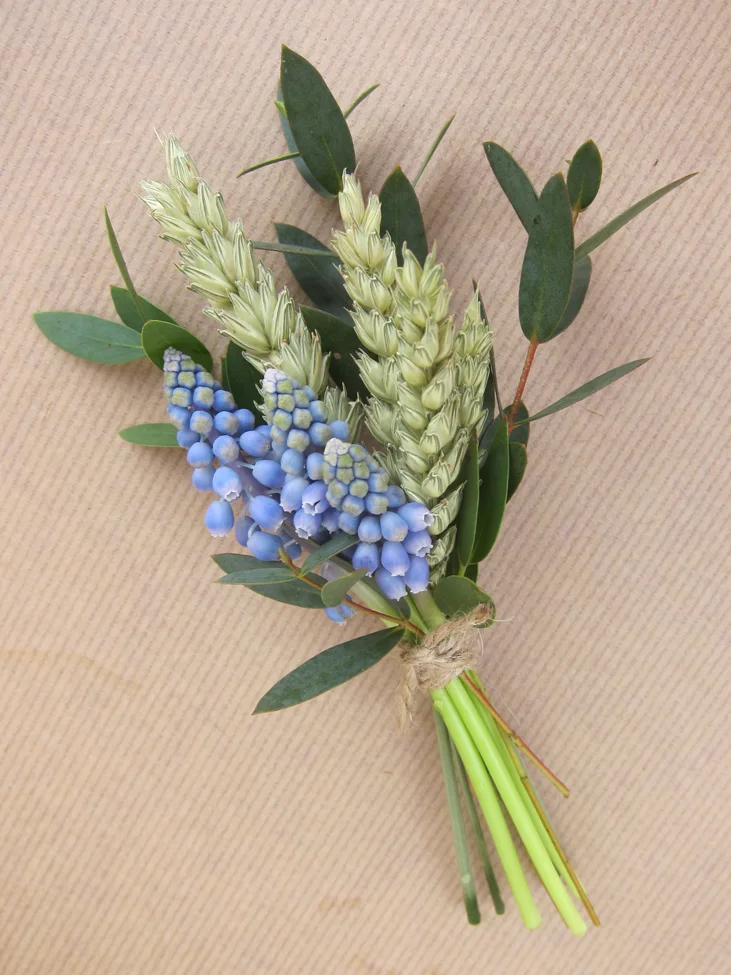 Buttonhole with muscari, wheat and parvifolia foliage