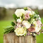 Photo Gallery 1